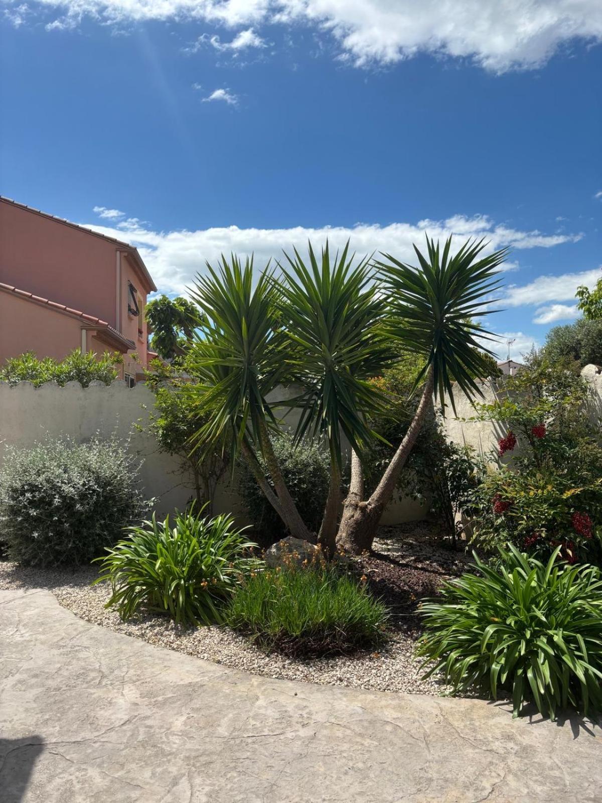 La Maison Brennus , Piscine, 15 Min Des Plages ベジエ エクステリア 写真